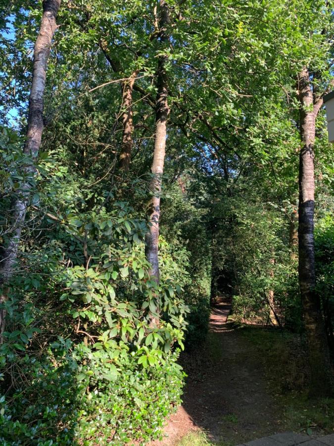 De Spitse Egel: Ontdek De Pareltjes In De Natuur! Otterlo Esterno foto