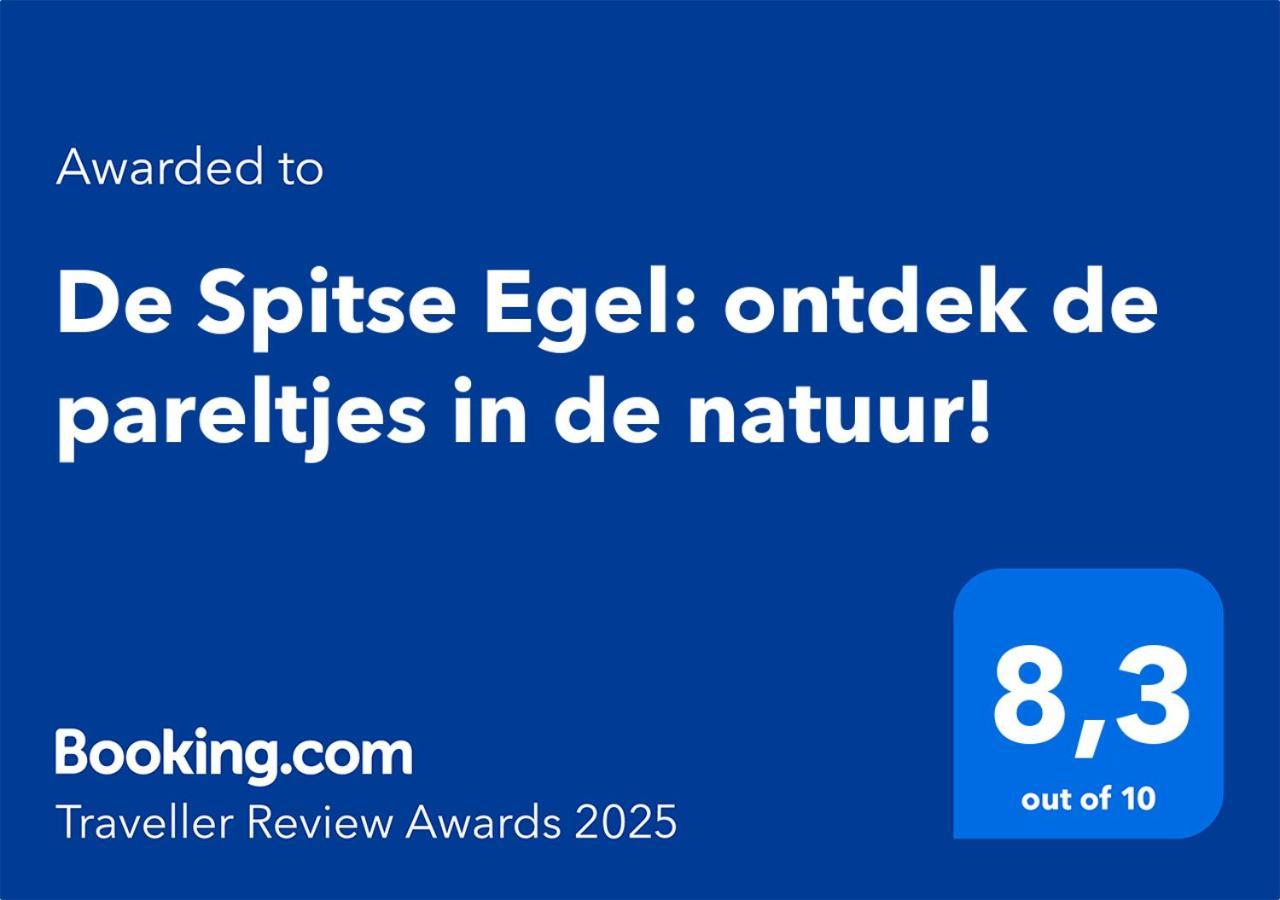 De Spitse Egel: Ontdek De Pareltjes In De Natuur! Otterlo Esterno foto